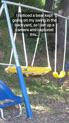 She runs up to that swing like it's the love of her life 😭😭 #Pubity  (@wildlife_foothills_ca via @ViralHog)