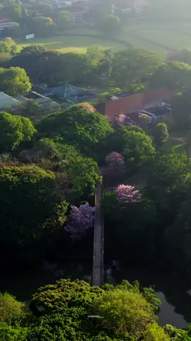 හන්තාන සුළග🌸🤍 . . . . #universityofperadeniya #fypシ゚viral #fypシ #onemillionaudition #srilanka🇱🇰 #pasindubweerasinghe #lovers #travelling #mountain #peace #lovestory #naturelovers #sunrise #nature 