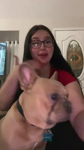 He is my whole personality ❤️❤️😂😂 @Franklin #biancacarlomango #fyp #frenchie #dog #puppy 