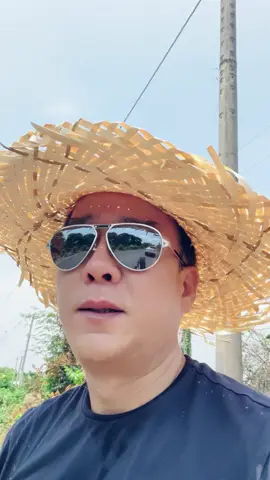 Cần tìm người chăm sóc vườn chôm chôm . ##Thangngo##thangngogarden##lamvuon##chomchom##vuonchomchom#