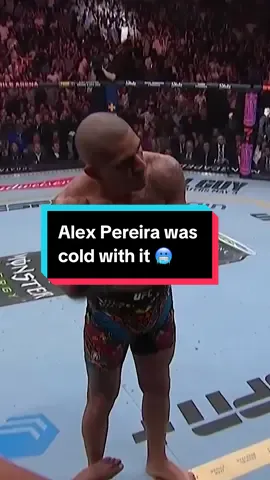 Alex Pereira with the coldest celebration I have ever seen in my life 🥶 #UFC300 #UFC #MMA #AlexPereira #poatan #fight #ko #knockout 
