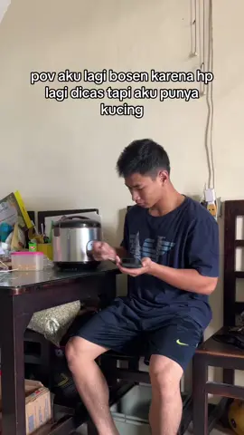 manfaat memelihara kucing😂 #cat #foryou 