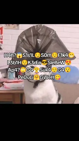 S1s1L💨 #SisiL #soundviral #dejavu #fyp #xybca 