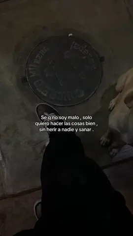 50k followers 🙏 #fvpシ #foryoupagee #xyzbca #fyp #parati 