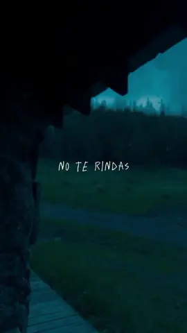 Perdida en una repetición constante: A pesar de estar rodeada de las personas que amo, siento que estoy dentro de un círculo en el que nadie puede acceder para ver lo que realmente hay en mi interior. Es como si estuviera encerrada en este círculo, en donde solo se puede observar desde afuera y salir de vez en cuando, pero sin poder liberarme por completo. Es un espacio en el que nadie ha dado el paso de entrar, escuchar y comprender lo que realmente siento. #oasis #stopcryingyourheartout #efectomariposa 