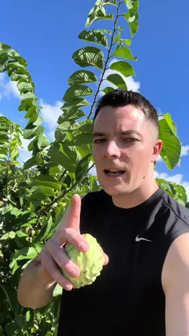 Vietnam có ko ? #ucviet 