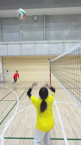 最近はセッター練習中！！！ #wisteria #バレーボール #fyp #00 #バレー女子 #春高バレー #volleyball #おすすめにのりたい #日向翔陽 #ハイキュー #影山飛雄 #菅原孝支 #宮治 #宮侑 #セッター練習 #セッター  @だいすけ🦔🏐  @JUN🐶⚒  @はるき🐺🏐  @ゆうにゃん🦅🐾  @WISTERIA【ウィステリア】  @たつ🐉👶🏻🏐 