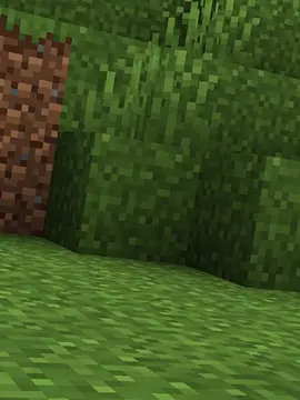 WOOD🔥🔥 | #Minecraft #MinecraftWood 