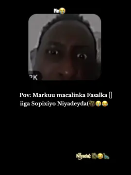 😭🦧😂#niyada wasaq#ciyaalxamar🇸🇴 #shahwah 
