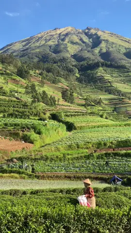 Akhiree 🥀 #fyp #fypシ #aestheticvibes #aestheticvideos #xyzbca #masukberanda #jowopridee #jowopride #lagujawa #jowoambyar #jowocidro #metoosmile 