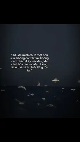 Điều ước nhỏ nhoi.. #xuhuong #tamtrang #tieucuc #bohaihat #hashtagcuato 