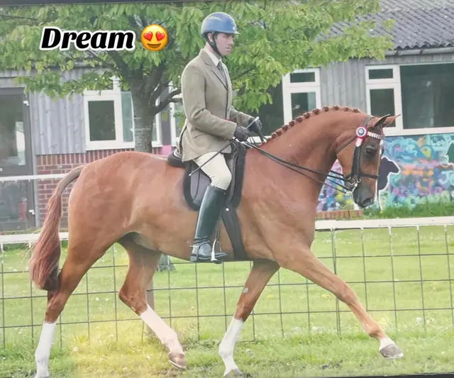 Love this trend 😂