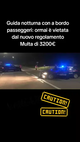 La proposta sarebbe quella di impedire a chi ha preso le patenti A2, A, B1 o B da meno di tre anni, di guidare di notte con all’interno della propria auto di più di un passeggero e in particolar modo nella precisa fascia oraria che parte  dalla mezzanotte e termina allle 5 del mattino al di là di quale giorno della settimana sia. Se non si rispettasse questa multa ci sarebbero delle sanzioni tra le ottocento e le 3200 euro, ma anche il carcere nei casi limite, con una detenzione tra i 6 mesi e un anno. 