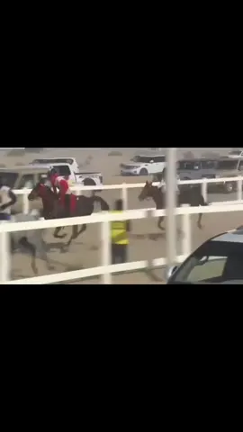 #سبوق #هجن #قدره_التحمل #خيل_وخياله🐎 #ناموس #المغاوير #الريف 