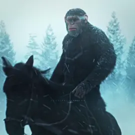 The 4th movie is gonna be PEAK 🙏😭 | (bro thinks hes king baldwin in that one clip) #planetoftheapes #caesar #edit #fyp #viral