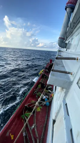 Lênh đênh tìm kho báu nơi biển cả😁#ghecaodongloi #ghecaobentre #xuhuong #ghecaobentre #danbien71 