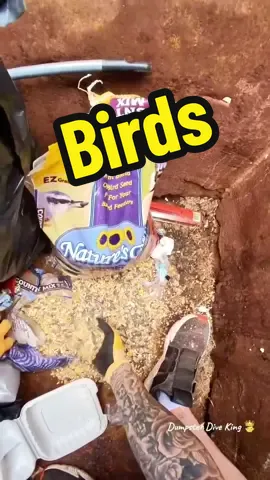 You can grow birds with this dumpster bird seed ?!?! 🐦  #dumpsterdiving #bird 