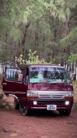 #srilanka #dolphin #trendingvideo2024♥️♥️fyp🔮 #🔺KIN🔺 #1million #dolphinvan #matale #new #viral #vanlife #สปีดสโลว์ #สปีดสโลว์ #foryou #CapCut 