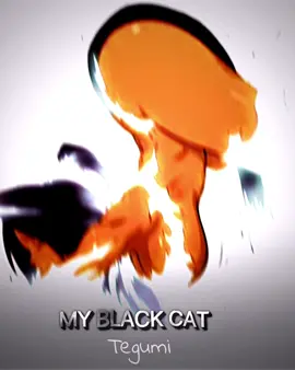 My black cat 🔥😍 #manga #edit #anime #luteoma_sqd #bleach #cat #blackcat #yoruichi 