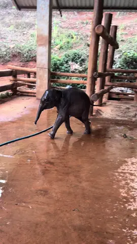 ##เล่นน้ำกันกันยาไหม