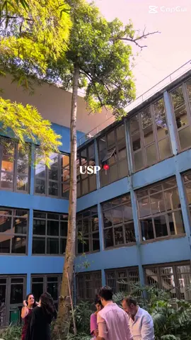 Usp part 2   #usp #saopaulo #tarde  #amigos 