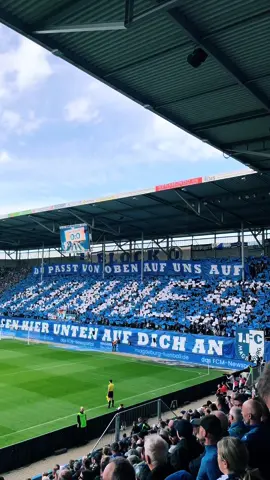 #fcm #fcmagdeburg #blocku #magdeburg #fcmhsv #hsv #supporter #choreo #wechselgesang #einmalimmer #blauweiß #1fcm #1fcmagdeburg #2liga #2bundesliga 