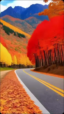 #المغرب🇲🇦تونس🇹🇳الجزائر🇩🇿 #تركيا_اسطنبول_العراق_سوريا_مصر #اكسبلورexplore❥🕊🦋💚❤ #ليا🇮🇹_البرتغال🇵🇹_فرنسا🇫🇷 #saudiidol #الشعب_الصيني_ماله_حل😂😂 #pourtoi #🇧🇪_بروكسيل_المانيا_فرنسا_هولندا #اكسبلورexplore #اسبانيا🇪🇸_ايطاليا🇮🇹_البرتغال🇵🇹_فرنسا🇫🇷 #السعودية #الولايات_المتحدة_الامريكية #بلجيكا #البرازيل 