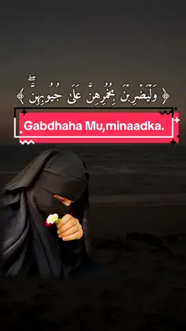 Udir Muuqaalkani walashada aad khayrka la jeceshahay. #nuurka_islaamka #somalitiktok #tiktoksomali 