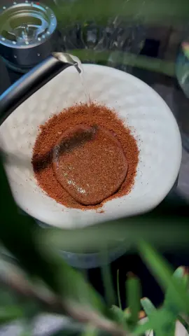 يا ترى وينك وش تشوف هاللحظة عينك؟ #fyp #foryou #اكسبلور #explore #شعر #بدر_بن_عبدالمحسن 