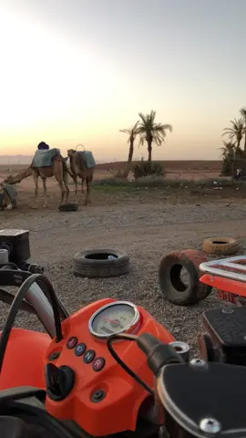 #marrakech #palmeraie #quad #fyp #foryou #travel #maroc #morocco 