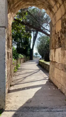 ‎يا سنين اللي رِحْتِ ارْجَعيلي ‏‎‏#fairouz #fairouziat #oldies #lebanon #oldsong #goldenage #wadihalsafi #explore#fairouzlovers #fairouzfans #fairouzians #viral #viralvideos #fairouziyad #ziadalrahbani #tiktokviral#viralvideo#night #فيروزيات #فيروز #اغاني #لبنان#Sing_Oldies #ليالي_لبنان #الزمن_الجميل #زيادالرحباني #صباح #وديع_الصافي #نصري_شمس_الدين #الرحابنة #viralvideo #viraltiktok #viraltiktokvideo #explorepage #explore #musicvideo #music #viral_video #viralvideos #fypシ゚viral #fypシ゚viral🖤tiktok #fyp #fypシ #الشام#سوريا#مكة#فلسطين #يا_سنين_اللي_رحتي_ارجعيلي #ارجعي_يا_هاك_الايام #جورج_خباز