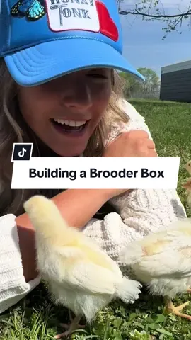 CHICKEN MATH QUESTION: 4 chicks + 4 chicks = ? 🐣🐥🐔 #chicken #chickenmath #brooder #chickencoop #homestead #homesteading #DIY 