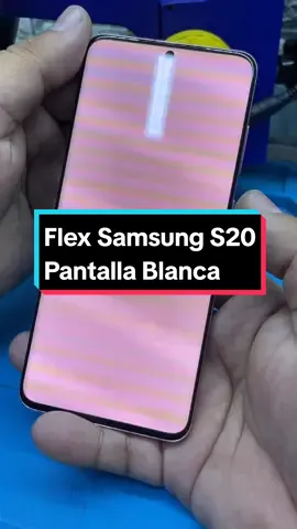 Cambio de Flex Pantalla Samsung S20 #pantallablanca #samsung #samsunggalaxy #samsungs20 #samsunggalaxys20 #viralvideo #remanufacturadepantallas #zjwy580 #zjwy_flexbond #zjwy #flexbondingmachine #serviciotecnicodecelulares #limape🇵🇪 #cambiodeflexdepantalla #cambiodeflex 