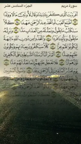 أفرءيت الذي كفر بأيتنا ؟ وقال لأوتين مالاً وولداً ؟ #قران  #ترند_تيك_توك #اكسبلور 