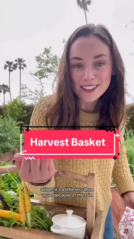Harvest Basket for my in-laws, rain or shine 🌧️ #garden #harvestbasket #gardentok 