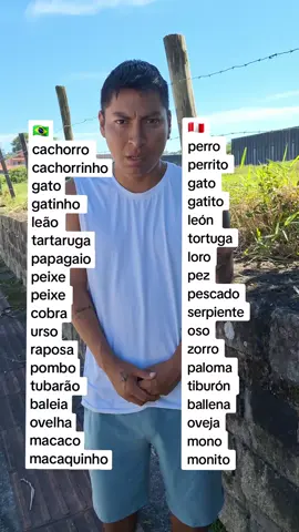 #espanholparabrasileiros #espanholsemlimites🇵🇪  Animais em espanhol 