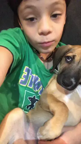 Con la gordita #fyp #dog #perros #fypシ #viral 