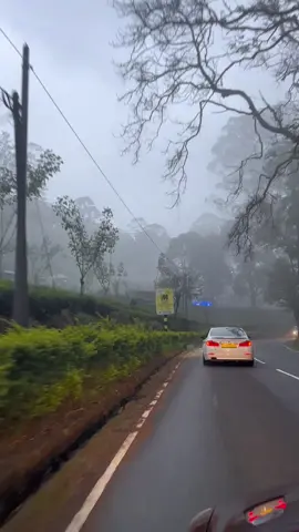 #nuwara_eliya❄️🥶 #natural #coolclimate #srilankan_🇱🇰 #bmw520d #foryou #CapCut #eveningclimate😍  #foryoupage #tranding #trandingsong #viral #like #srilankan_tik_tok🇱🇰 