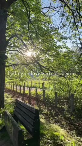 #life #foryou #fyp #foryoupage #fypシ #forest #farm #tree #sunrise #walking 