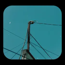 cứ chill thôi #lyrics #ngothtu 