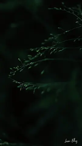 Adada ithu Enna ithu Enna...✨🎶 #tiktok #foryou #foryourpage 