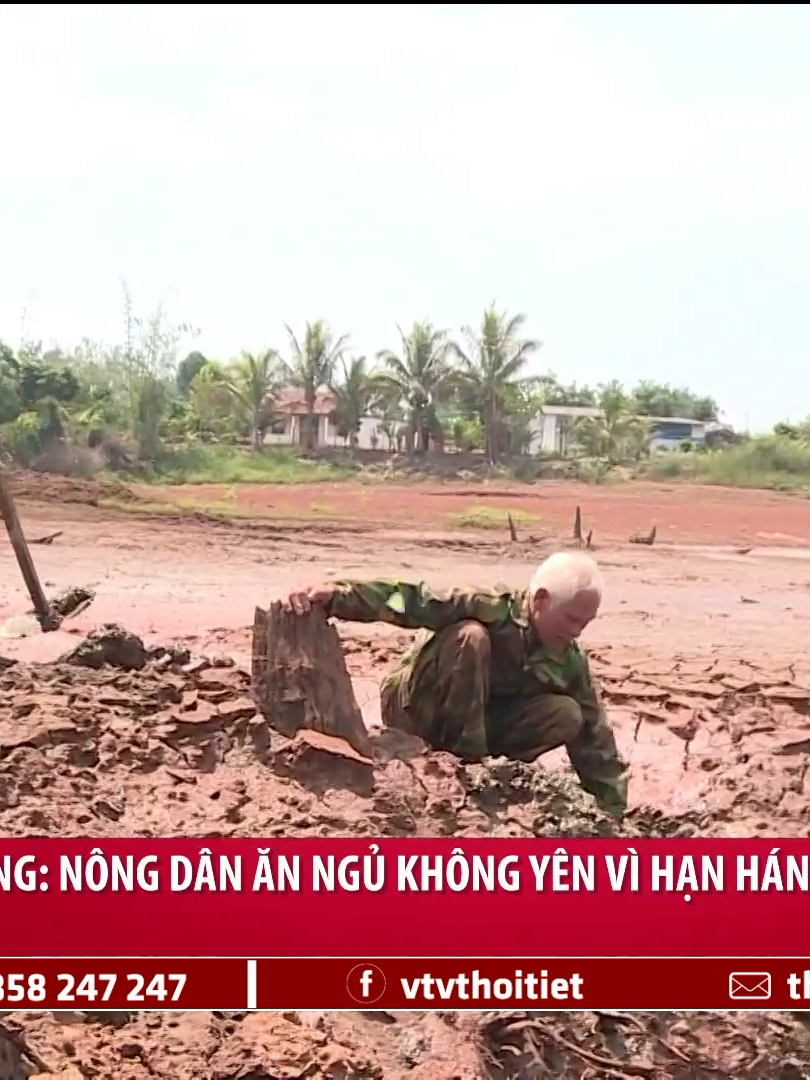 Đắk Nông: Nông dân ăn ngủ không yên vì hạn hán | VTVWDB