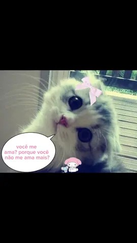 eu ti amo vc mi ama #fypシ #mymelody #fy #gatinhos #abcxyz 