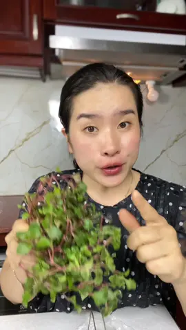 Nhiều bà nói Cái này chỉ để trồng kiểng hoặc là cho gà cho bò ăn thôi vậy thì hôm nay để tui ăn thử coi cái vị nó sẽ như thế nào nha #b#bepcuagiaol#LearnOnTikTokr#reviewv#viralv#viralvideoa#anrau