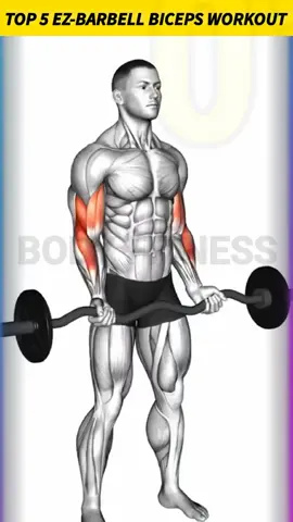 تمرين عضله الباى  #الكوتش😊💪  #المحفذ😊💪  #تمارين_منزلية  #تمارين_رياضية  #gym  #Fitness  #bodybuilding  #explore  #tik_tok  #tiktok  #الشعب_الصيني_ماله_حل😂😂  #قطر_الامارات_الكويت_البحرين_عمان_دبي 