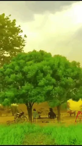 Danish #Love @TikTok LIVE Philippines