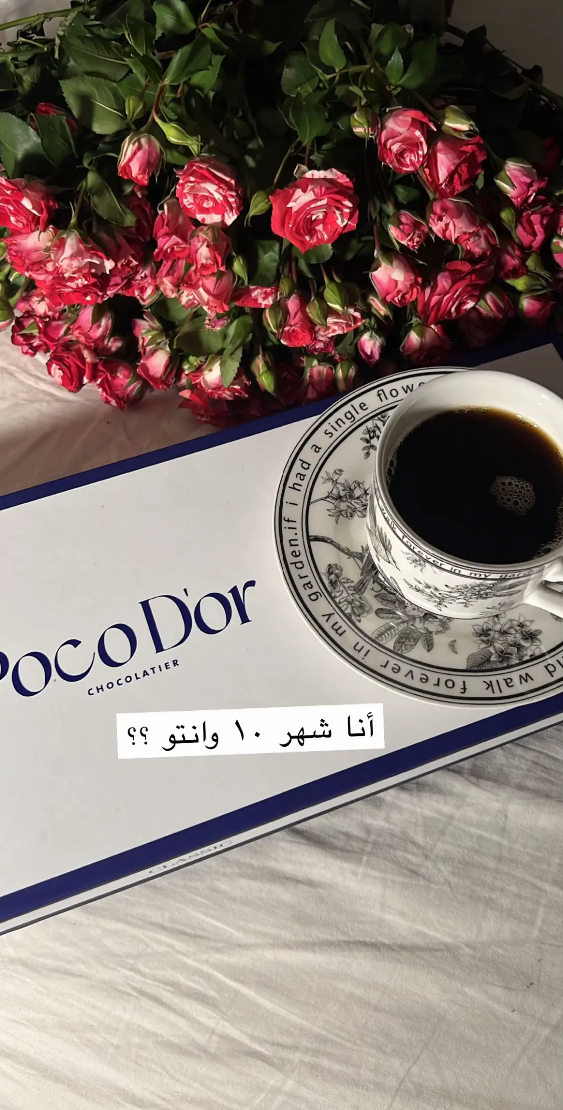 #اكسبلورexplore #اكسبلور 