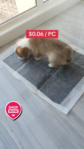 Eco-Minded Pet Care: Switch to Bamboo Charcoal Pads #weeklywedrush #tiktokshopsg #createtowin 