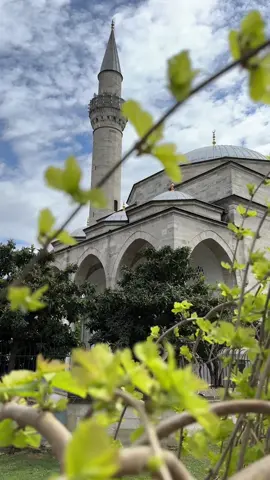 Istanbul, Türkiye ❤️🇹🇷  #istanbul #ıstanbul #türkiye #istanbultravel #turkey #turkiye #ıstanbul🇹🇷 #istanbulguide 