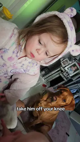 #siblinglove #hesannoyingme #babiesoftiktok #toddlersoftiktok #foryou #foryoupage 